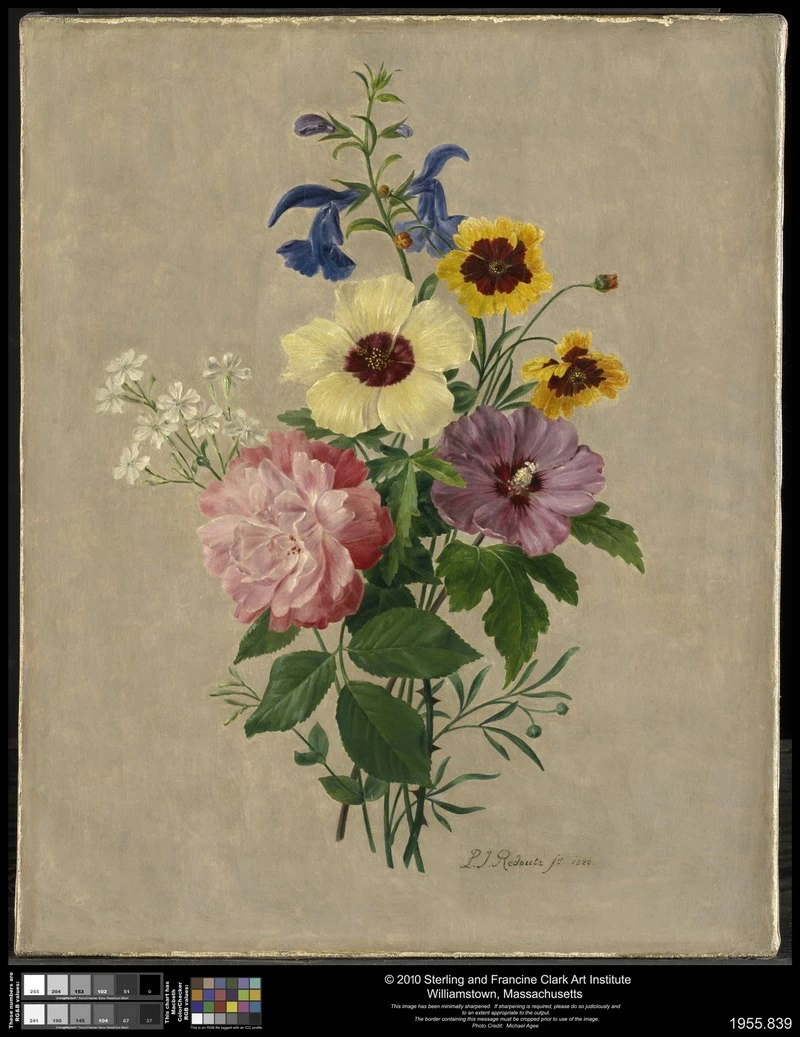 Flowers - Clark Art Institute